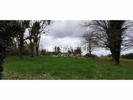 vente terrain 1500 m² brizay (37220)