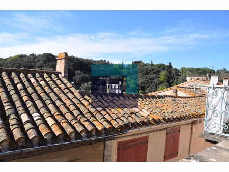 maison village avec veranda