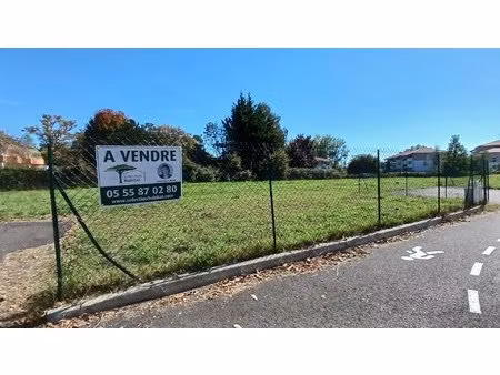 terrain constructible