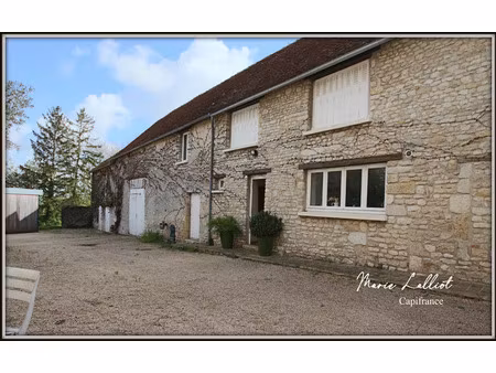 dpt loiret (45)  à vendre yevre le chatel maison 7p  220m² sup. utile  4 chambres  dépenda