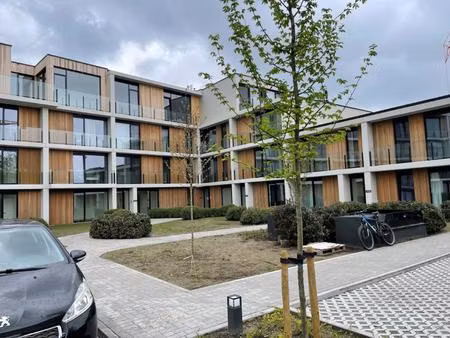appartement te huur in beveren-kruibeke-zwijndrecht met 1 slaapkamer