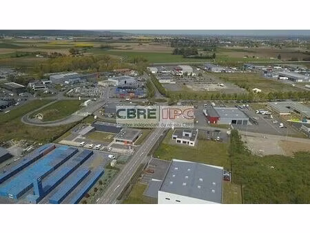 location entrepôt / local d'activités ibos 507 m²