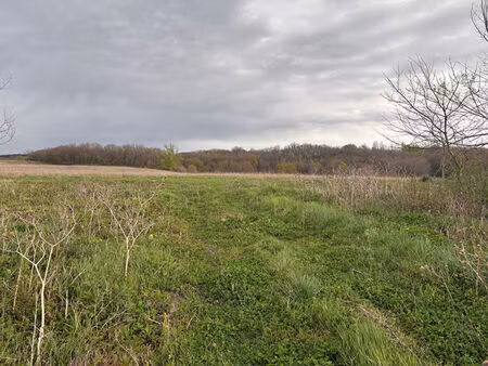 achat terrain 2 947m² villaudric 31620