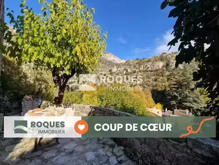 vente maison 5 pièces 82 m² à saint-maurice-navacelles (34190)  175 000 €