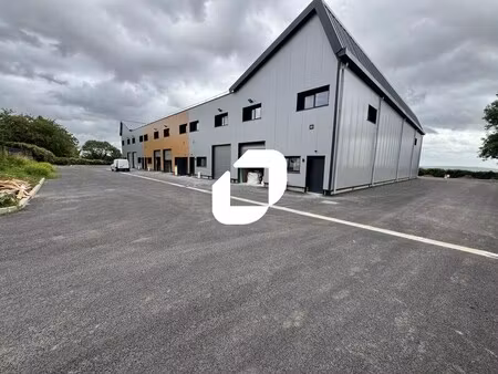 a vendre  cellules neuves