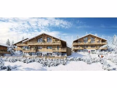 achat : appartement (74110)