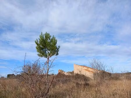 4 5 hectares de terre agricole avec grange de 95m2 à rehabiliter sur le terrain