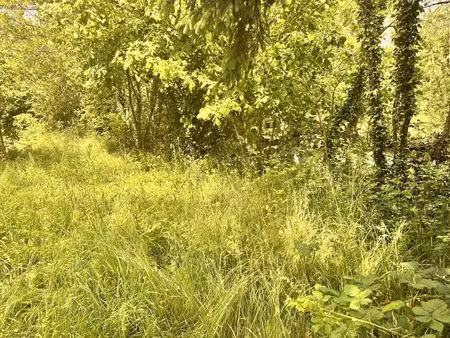 vente maison 485 m² marandeuil (21270)