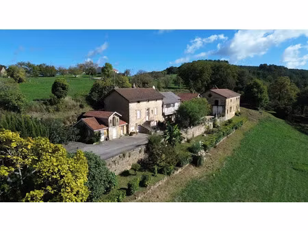 vente maison 5 pièces 182 m² à les eyzies (24620)  299 600 €