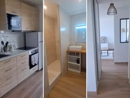 location appartement 2 pièces 47 m² à montpellier (34000)