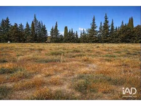 vente terrain à saint-paul-trois-châteaux (26130) : à vendre / 1188m² saint-paul-trois-châ