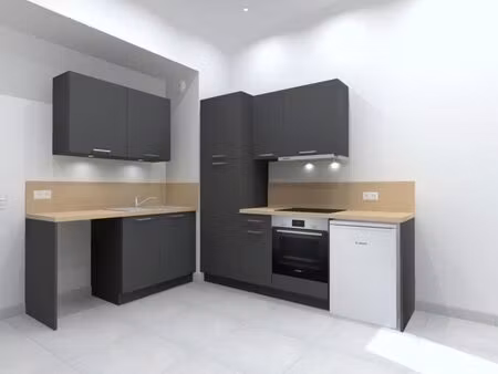 location appartement 2 pièces 48 m² à lyon 8 (69008)