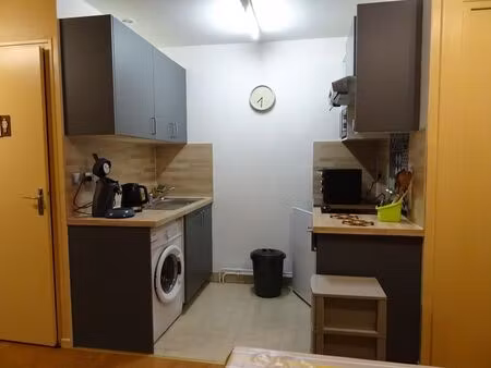 location appartement 1 pièce 33 m² à villeurbanne (69100)