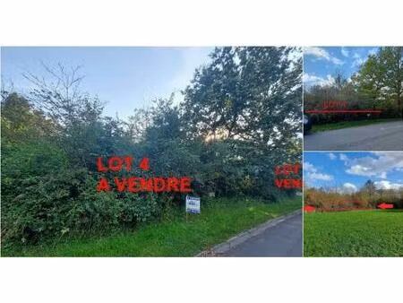 terrain à bâtir à vendre à voie michel lot 4 durbuy (rbv04595)