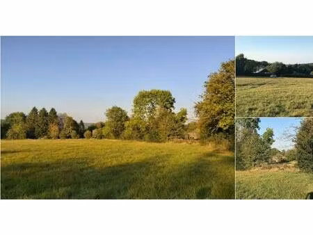 terrain à vendre à chemin du congo theux (vwd16301)