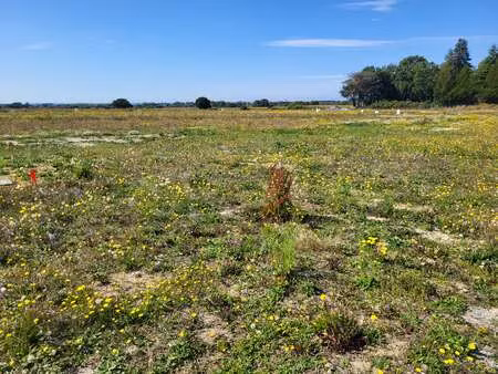 vente terrain à pleurtuit (35730) : à vendre / pleurtuit