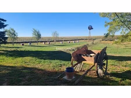 a vendre - ancienne ferme rénovée au milieu des lavandes - haute provence