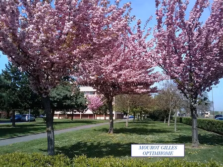 vente appartement 5 pièces 81 m² à metz (57000)  149 500 €