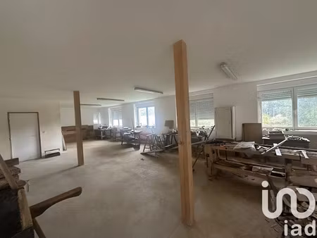 vente loft 1 pièce 108 m² à seppois-le-bas (68580)  206 000 €