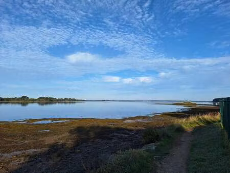 vente terrain au hézo (56450) : à vendre / le hézo