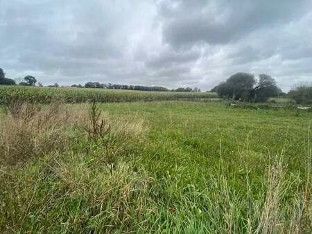 vente terrain à saint-coulitz (29150) : à vendre / saint-coulitz