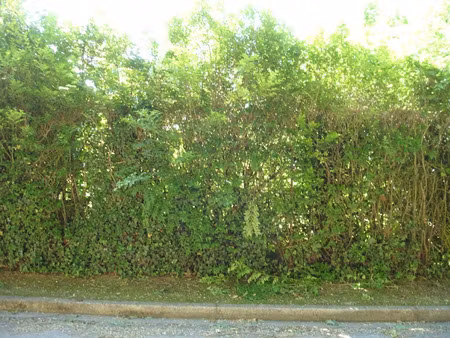 vente terrain 905 m² à chalautre-la-grande (77171)  38 000 €