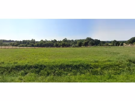vente terrain 875 m² à villiers-au-bouin (37330)  29 500 €