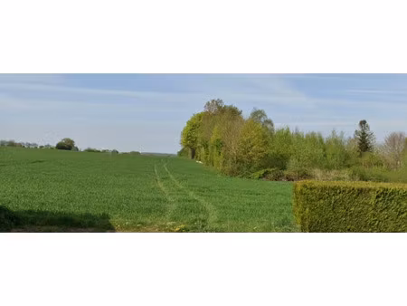 vente terrain 460 m² à calonne-ricouart (62470)  60 000 €