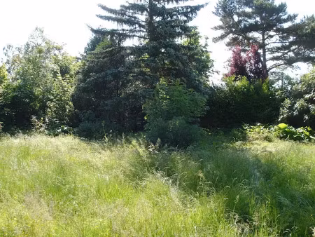 vente terrain 892 m² à beton-bazoches (77320)  66 200 €