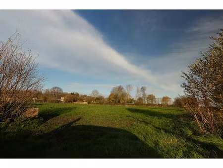 vente terrain 212 m² à sainte-croix-grand-tonne (14740)  49 000 €