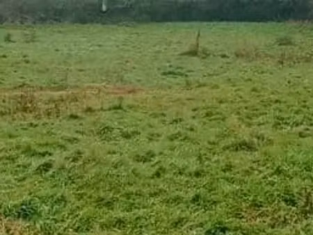 vente terrain 305 m² à la plaine-sur-mer (44770)  150 000 €