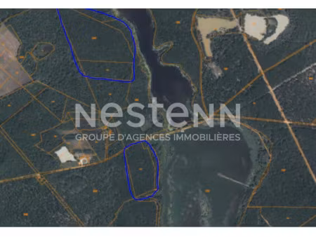 vente terrain 11978 m² à fontaines-en-sologne (41250)  135 000 €