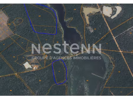 vente terrain 119780 m² à fontaines-en-sologne (41250)  127 000 €