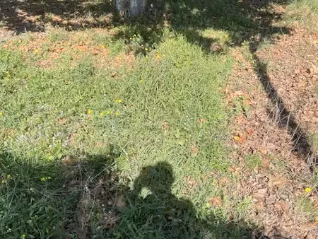 vente terrain 293 m² à martigues (13500)  260 000 €