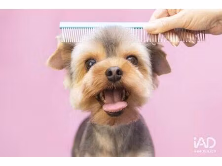 vente commerce 65 m² saint-ouen-l’aumône (95310)