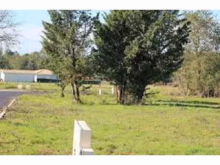 vente terrain 326 m² à belin-béliet (33830)  105 000 €