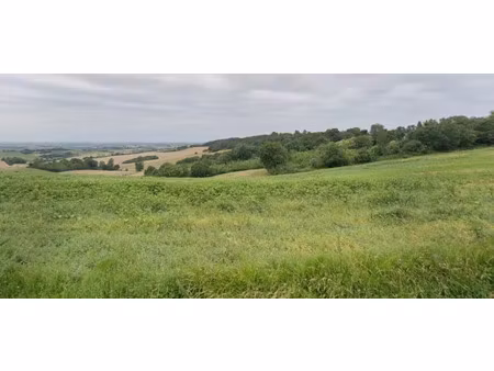 vente terrain 2100 m² à l'isle-jourdain (32600)  109 000 €