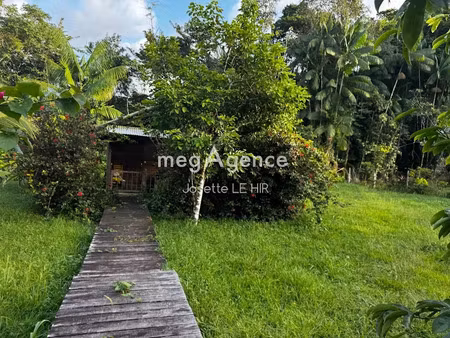 vente terrain 1560 m² à matoury (97351)  120 000 €