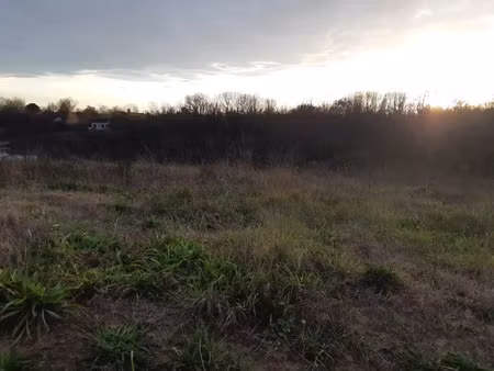 vente terrain 524 m² à saint-alban (31140)  124 000 €