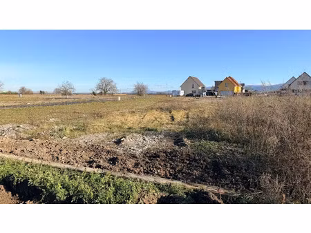 vente terrain 503 m² à bantzenheim (68490)  110 660 €