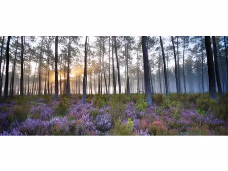 vente terrain 874 m² à lit-et-mixe (40170)  158 000 €