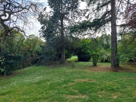 vente terrain 559 m² à montrabé (31850)  145 000 €