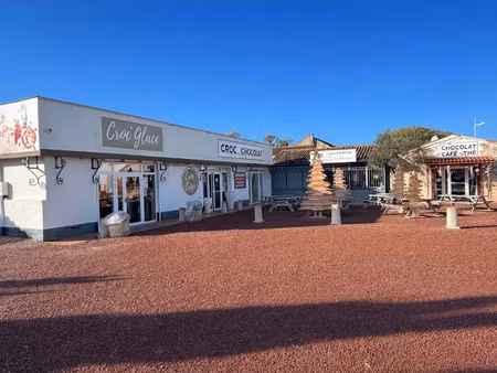 vente locaux professionnels à saint-pierre-d'oléron (17310)  1 019 200 €