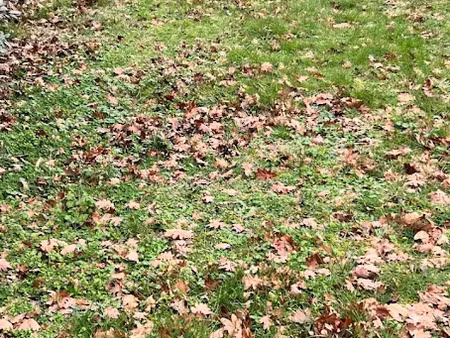 vente terrain 655 m² à la teste-de-buch (33260)  275 000 €