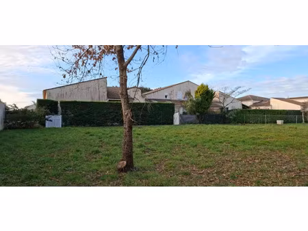 vente terrain 599 m² à saint-palais-sur-mer (17420)  337 600 €