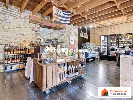 vente immeuble 13 pièces 315 m² à beignon (56380)  379 950 €