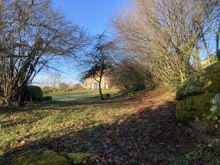 charmante propriété (2 maisons)