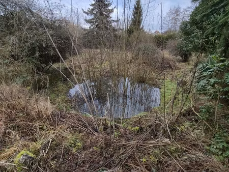 vente terrain 3 940 m²