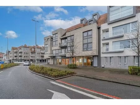 commercieel te huur in nieuwpoort