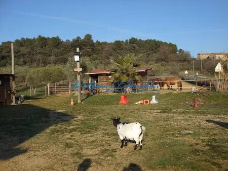 maison avec terrain ideal pour chevaux  chiens....